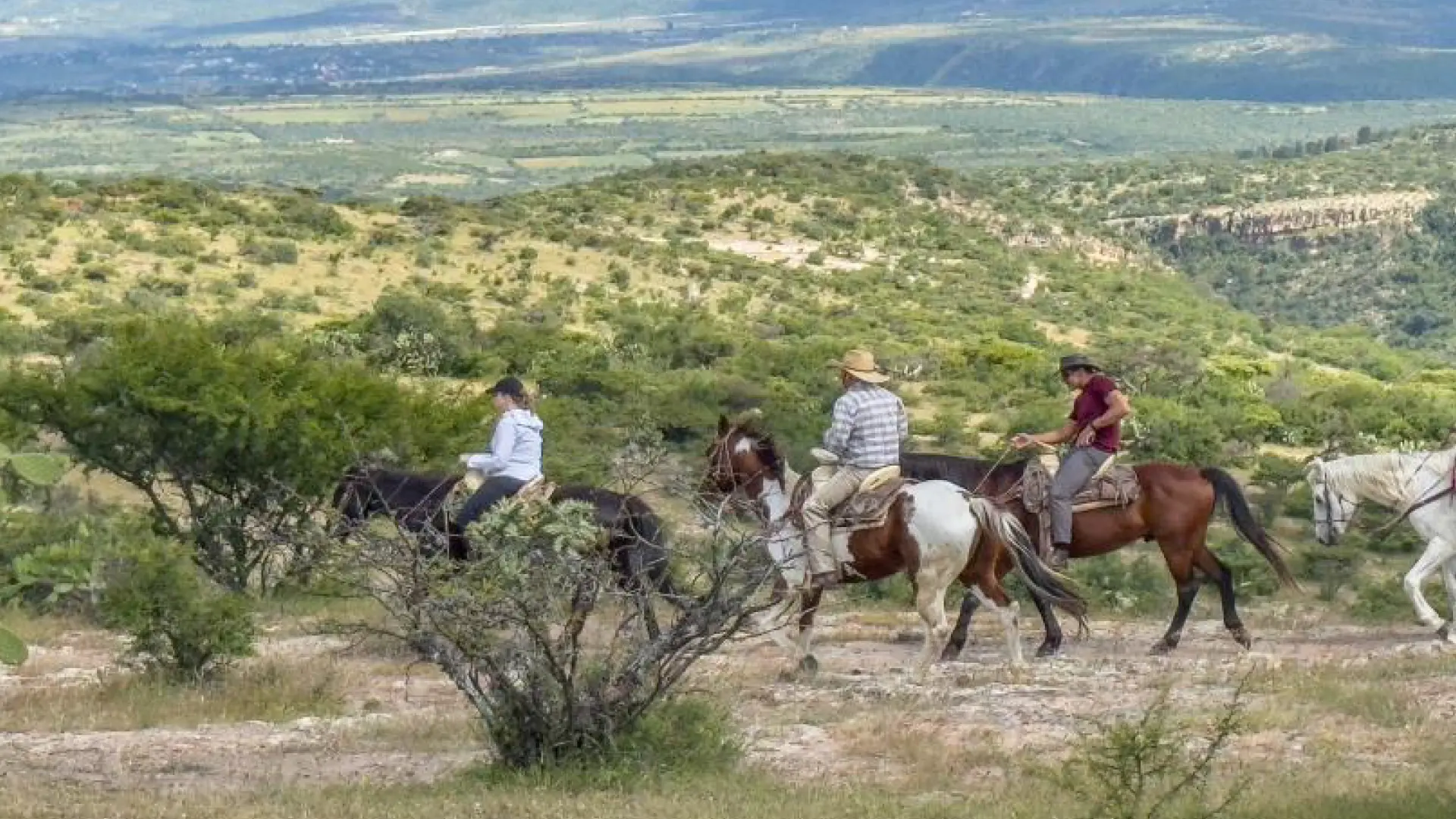 Cabalgatas
